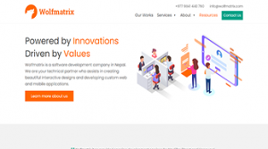 wolfmatrix software development company